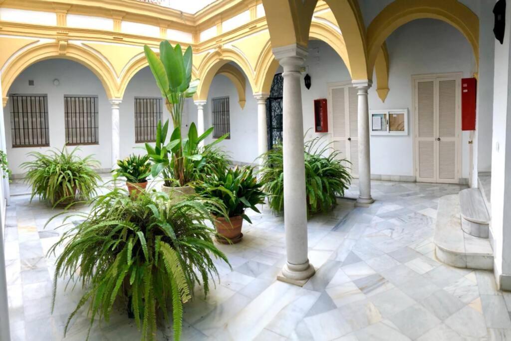 Gatu Villa Palma, Aire Acc Y Confort En El Centro Historico, " Preferente Mayores De 25 Anos Y Familias " El Puerto de Santa María Kültér fotó