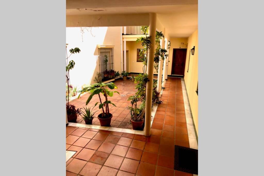 Gatu Villa Palma, Aire Acc Y Confort En El Centro Historico, " Preferente Mayores De 25 Anos Y Familias " El Puerto de Santa María Kültér fotó